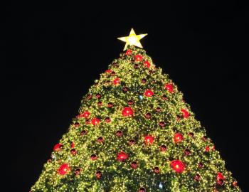 Hilton Head Island Christmas Tree Lighting