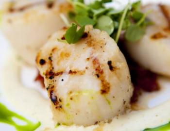 CQ's - Hilton Head Restaurant