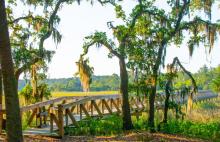 boardwalk over the marshes