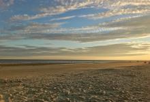 A sandy beach and calm ocean at sunset on Hilton Head Island