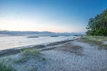 Tree-lined beach and waterfront on Hilton Head Island