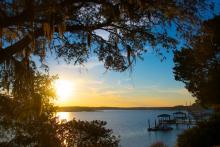 view of water in Hilton Head through trees