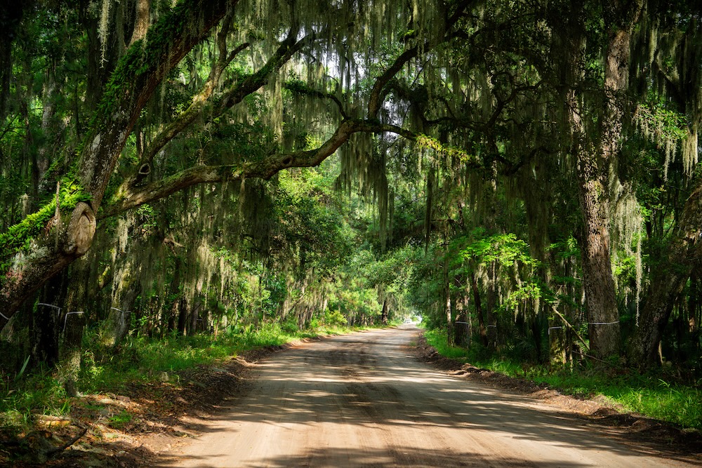 Daufuskie Island