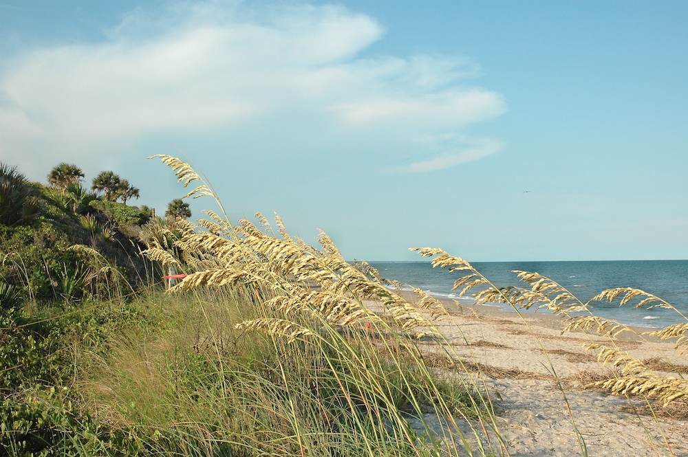 Edisto Beach State Park in South Carolina