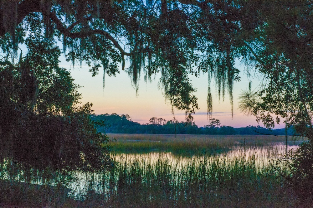 Edisto Beach State Park