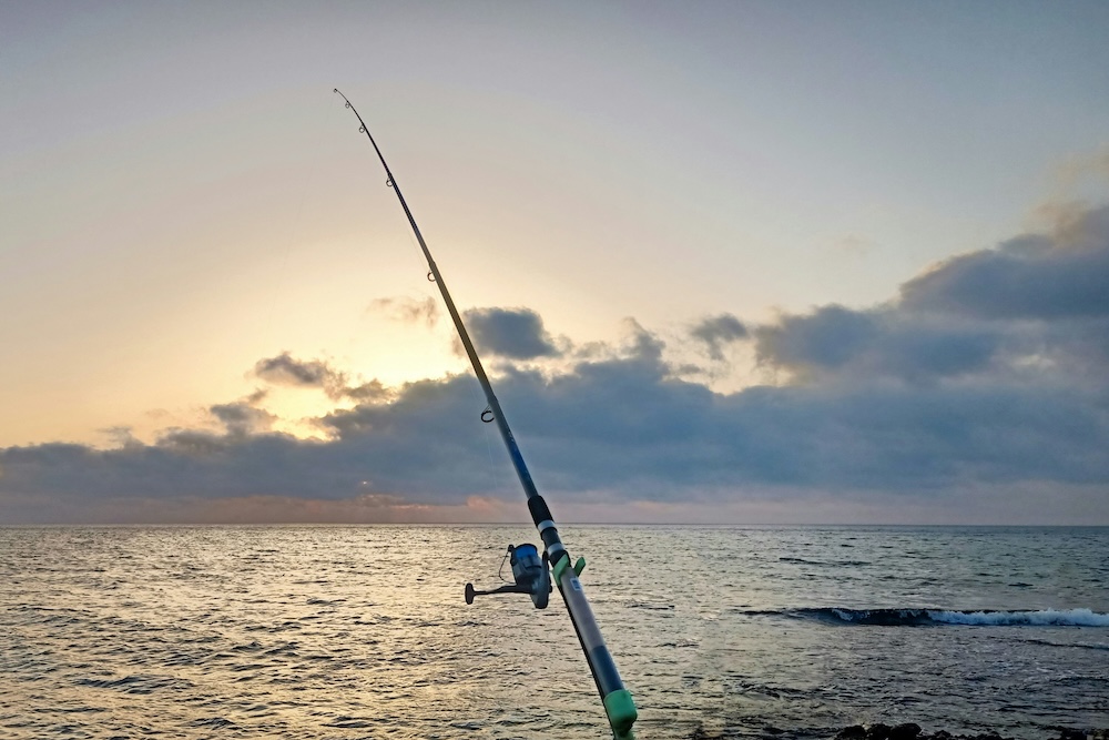 Fishing pole