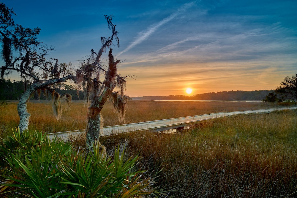 Skidaway Island Nature Preserve boardwalk through saltmarsh