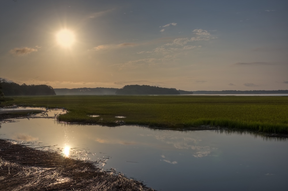 Pinckney Island Wildlife Refuge